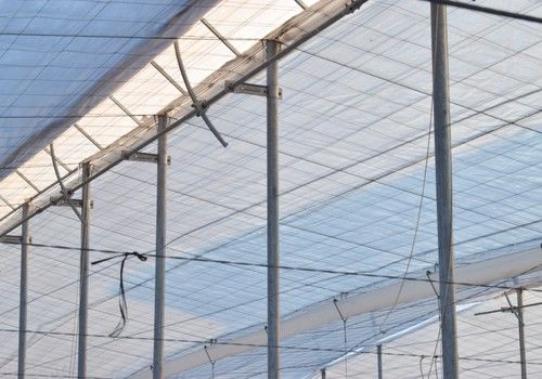 La importancia de las mallas agrícolas  y la ventilación a la hora de afrontar  la construcción de un invernadero