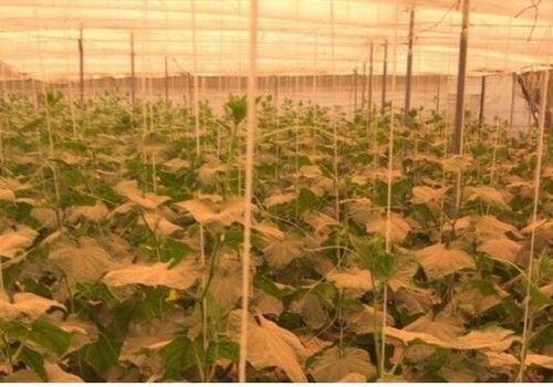 ASAJA urge al Ministerio de Hacienda que publique la rebaja fiscal para el sector agrario