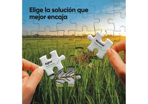 Corteva Agriscience presenta Agixa® y Novixid®, los nuevos herbicidas para el control de malas hierbas en el cultivo de arroz