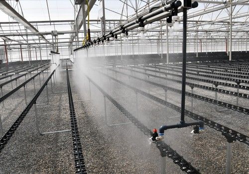 Campoejido duplica su capacidad de atención al agricultor con su nuevo semillero
