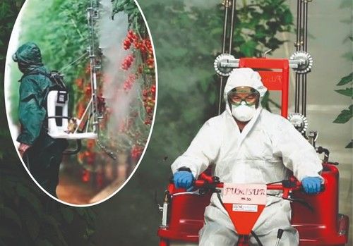GyM apuesta por la innovación en la agricultura bajo plástico