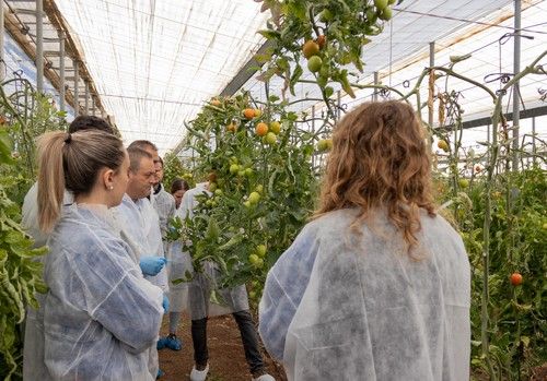 CapGen Seeds experimenta un incremento del 18% en la producción de sus variedades hortícolas gracias al aumento de las ventas nacionales e internacionales