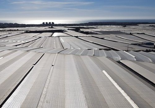 La UAL estrenará el documental ‘El Reseteo Verde’ sobre el liderazgo ambiental del Modelo Almería hacia el futuro