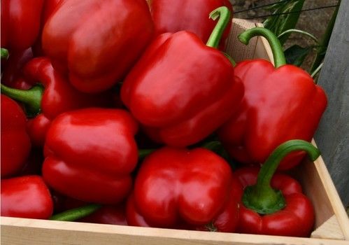 Las exportaciones andaluzas logran un récord histórico en el primer trimestre del año, con 10.379 millones y un alza del 1,8% interanual