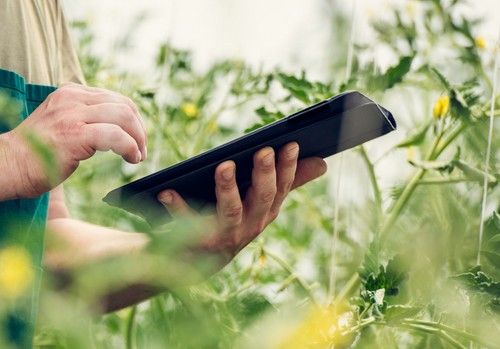 COAG Almería pide a la Junta de Andalucía su apoyo en la paralización del Cuaderno digital hasta adaptarlo a la realidad productiva del sector
