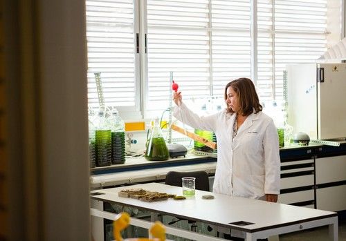 Sonia Chamizo investiga el uso de biocostras para restaurar tierras secas