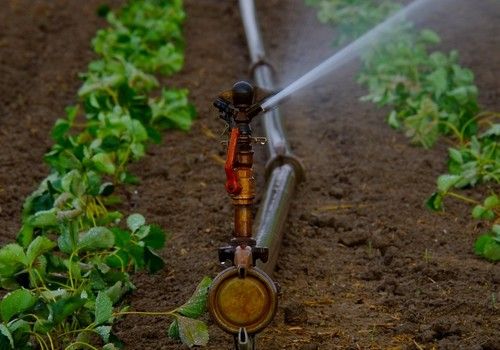  Los sistemas de riego eficiente alcanzan el 79% de la superficie regada total