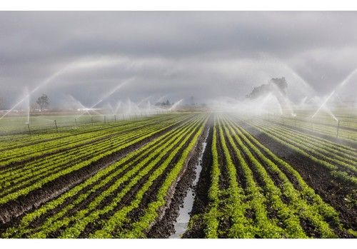 El Gobierno contribuye con más de 400.000 euros a organizaciones y programas internacionales de carácter agrícola, ganadero y pesquero