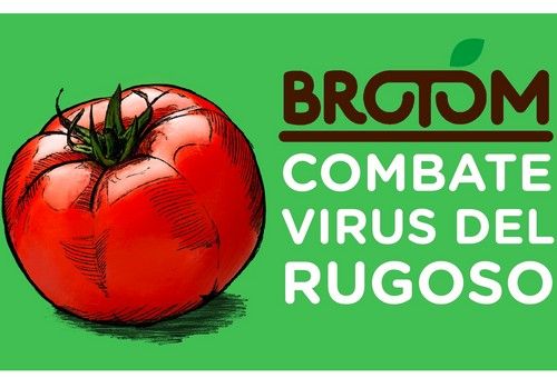 BROTOM, el arma imprescindible para el control y paralización contra el virus del rugoso