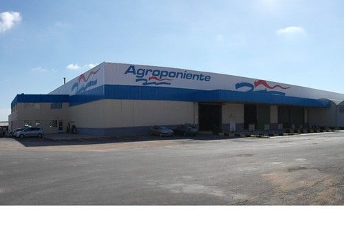 Las subastas de Grupo Agroponiente vuelven el próximo lunes 4 de septiembre a los centros de Guardias Viejas y Campohermoso