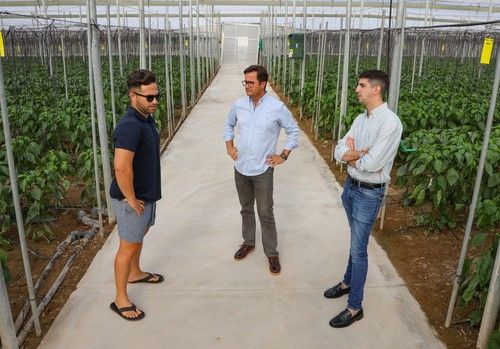 El alcalde pide “precios justos” y “seguir ganando en competitividad” en el inicio de la campaña agrícola en El Ejido