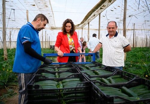 La alcaldesa de Almería reclama en el inicio de la campaña agrícola “precios justos” para los agricultores, “que exportan salud a Europa”