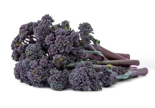 Sakata, a la conquista del consumidor con sus novedades para Fruit Attraction