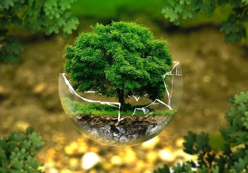 Herogra Group consolida su compromiso con la agricultura ecológica