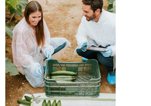 PasioND, la variedad de Hazera España dentro de la gama pro plus para ciclos medios