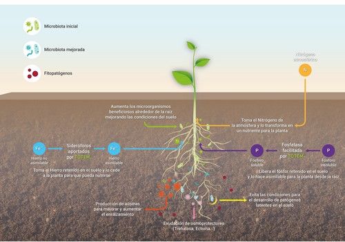 Los microorganismos extremófilos frente al cambio climático