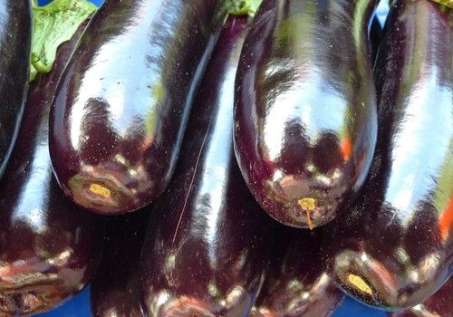 HORTYFRUTA activa la Extensión de Norma de Calidad para berenjena