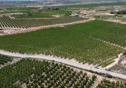 ¿Cómo afecta la fertilización a la acumulación de nitrógeno en los órganos de reserva del frutal de hueso?