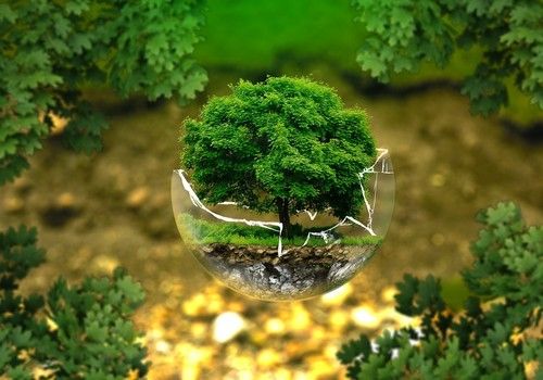 Realizar una nutrición completa con productos ecológicos ya es una realidad