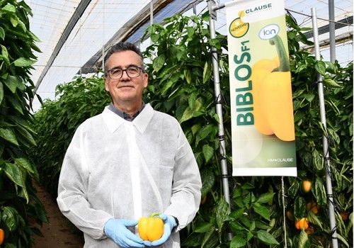 HM.CLAUSE revela las novedades de su gama IÓN contra oídio y nematodos a los agricultores del Levante almeriense