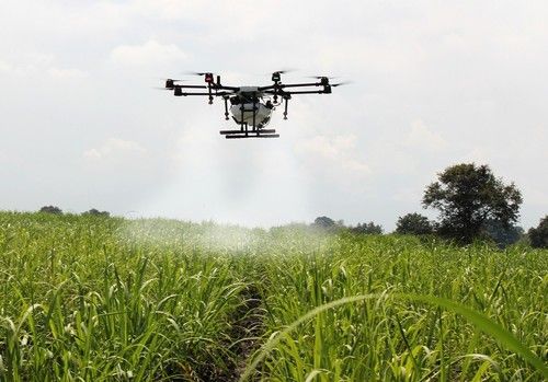 El Ministerio de Agricultura convoca las subvenciones para la formación de profesionales del mundo rural para 2024