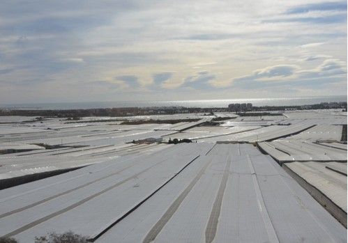La renta agraria crece un 11,1 % en 2023 y se sitúa en 31.931 millones de euros