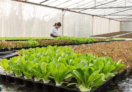La Junta apuesta por la digitalización del campo para ganar competitividad en tiempos de sequía