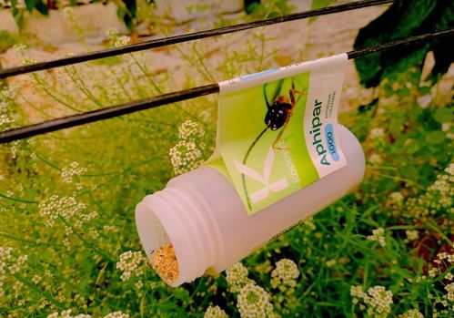 Koppert muestra en Fruit Logistica cómo vencer a las resistencias de las plagas
