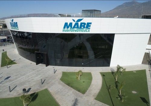 Hortofrutícola MABE: el origen de la calidad