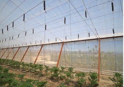 Las cubiertas de Ginegar, valor  seguro en una agricultura cada  vez más sostenible e innovadora