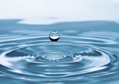 La disponibilidad de agua está ofreciendo a la agricultura de Almería una ventaja competitiva única en toda Europa