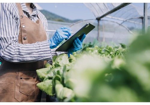 El Ejido acogerá la jornada “Tendencias, desafíos y soluciones tecnológicas en el sector alimentario” la última semana de febrero