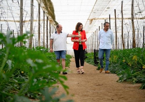 El PP en el Ayuntamiento de Almería lleva al pleno una moción en apoyo a agricultores y en defensa del mundo rural