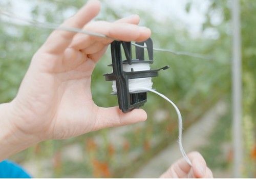 Reyenvas lanza Reyroll, la revolucionaria innovación para el entutorado de cultivos