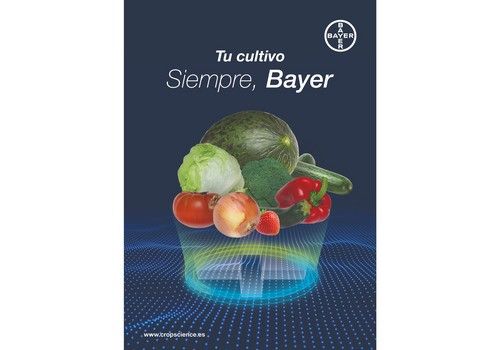 ''El concepto de solución en cualquier cultivo debe ser de efecto inmediato para afrontar los problemas de hoy, pero también pensando en el futuro''