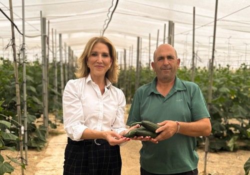 El PP anima a los agricultores a acogerse a la ayuda para modernización de invernaderos dotada con más de 20 millones