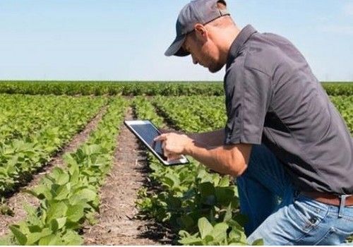 Arranca en Almería el proyecto europeo PATH2DEA para impulsar la digitalización