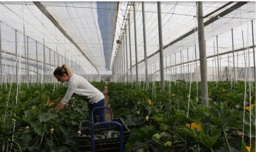 El 8 de abril finaliza el plazo para presentar candidaturas a los XV Premios de Excelencia a la Innovación para las Mujeres Rurales