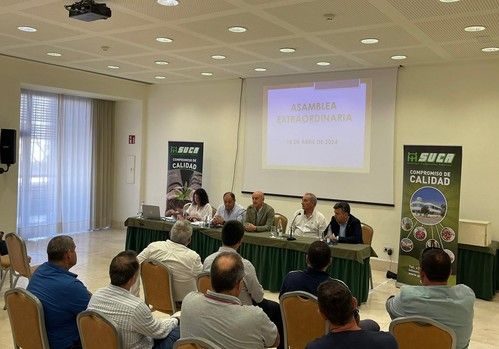 Suca factura 264 millones de euros en el año 2023