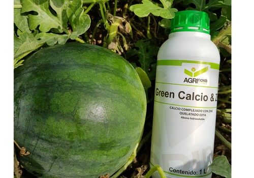 Mayor asimilación y movilidad del calcio en planta con Green Calcio Zinc