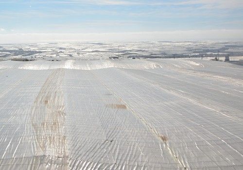Autorizada la ampliación de la cuantía destinada a las ayudas agroambientales en 150,6 millones