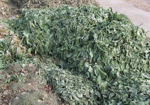La Asociación de Empresas de Recogida de Residuos Agrícolas de Almería (ARRAS) alerta de la saturación de las plantas de gestión de restos vegetales