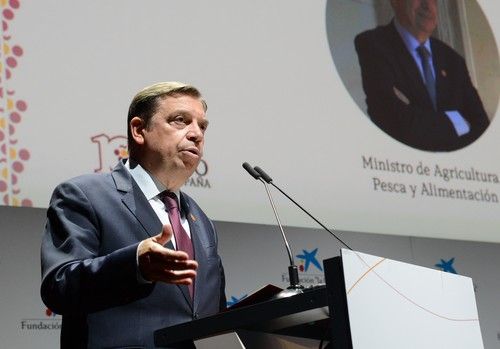  La Conferencia Sectorial de Agricultura aprueba el reparto de 150 millones de euros para apoyar al sector vitivinícola y el consumo de leche, frutas y hortalizas