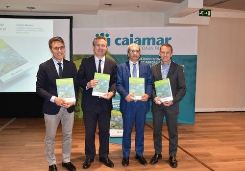 El sector agroalimentario aportó 119.140 millones de euros (8,9% del PIB) y 2.394.353 empleos (11,3% del total) a la economía española en 2023