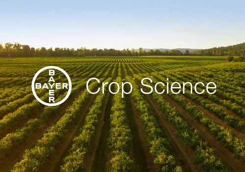 Bayer prueba con éxito el nuevo material compostable de Novamont que elimina el residuo plástico en los cultivos agrícolas