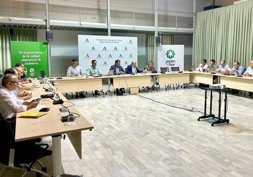 Junta y sector constituyen un grupo de trabajo para impulsar la interprofesional andaluza de los cítricos