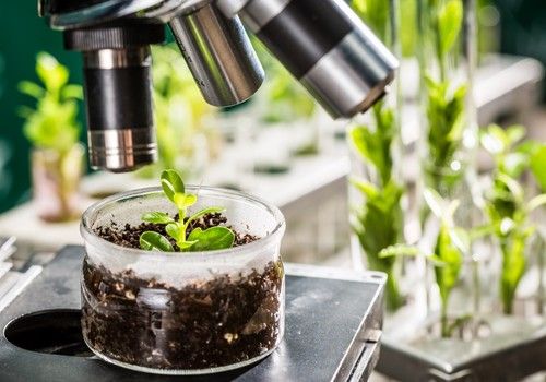 La Junta encarga la redacción del proyecto del Smart Green Cube en el Parque Científico-Tecnológico de Almería