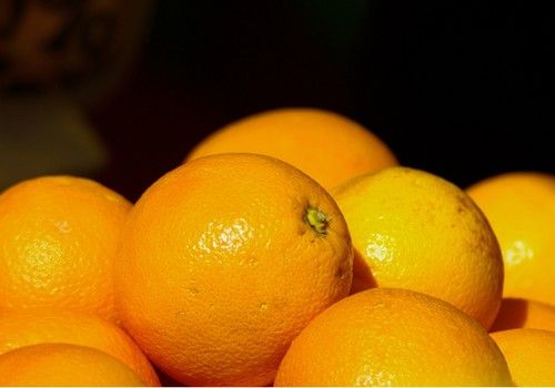 El 15 de septiembre, último día para contratar el seguro de cítricos