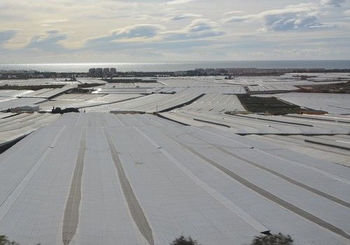 La Junta respalda la mejora de las explotaciones  de invernadero con cerca de 20 millones de euros en ayudas
