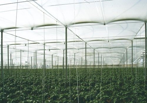 Plásticos de doble cámara: protección térmica sin renunciar a la transparencia
